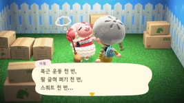 차둘이 데려갈 덬 있을까? - 동물의숲 카테고리