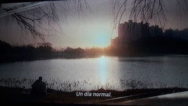 보통의 하루 - 드영배 카테고리