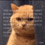 사랑둥이 - BL 카테고리