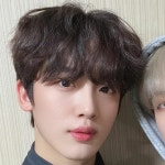 복슬강아지 김요한 - 김요한 카테고리