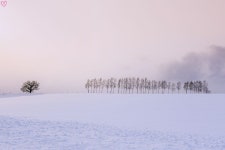 겨울이면 생각나는 이시국 북해도 추억팔이 - 여행 카테고리