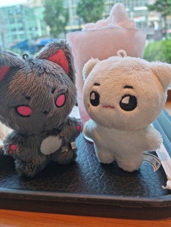 우리집 고냥이 털뭉치들 - 케이돌토크 카테고리
