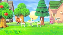 우리캔버라도 프로필없어ㅠㅠㅠㅠㅠ - 동물의숲 카테고리