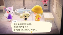 쭈니야 한참 찾았자너 - 동물의숲 카테고리