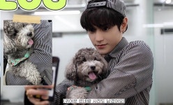 아낰ㅋㅋㅋㅋㅋㅋㅋㅋㅋㅋ 강쥐랑 셀카 찍는 태용이 썸넬 잘 봐바 - 태용 카테고리