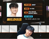 더쿠 - 따효니를 피한 매드라이프
