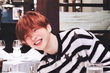 녤깅이봐 - 강다니엘 카테고리