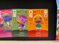 티몬 아미보 왓다아 - 동물의숲 카테고리