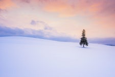 겨울이면 생각나는 이시국 북해도 추억팔이 - 여행 카테고리