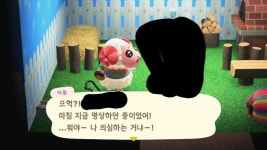 내 섬 핵인싸🐏❤(사진 많음 데이터주의) - 동물의숲 카테고리 내 섬 핵인싸&#x1f40f;❤(사진 많음 데이터주의) - 동물의숲 카테고리