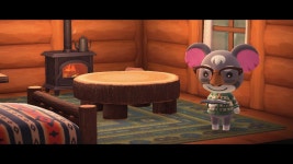 책 읽는 [근성]군 - 동물의숲 카테고리