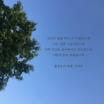 ㅇㄹㅍ 어쩌다가 시 봤는데 넘 설레(*´ლ`*) - 로맨스판타지 카테고리