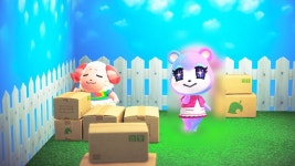 차둘쓰 분양받았다 - 동물의숲 카테고리