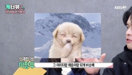 전체 게시판 - 진기주 웃을때 진짜 이 강아지 닮음 ㅋㅋㅋㅋ