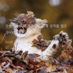 외사랑 처음 봣을때 정재한 때문에 경악했더라도 이 짤 보면 문제해결됨 - BL 카테고리