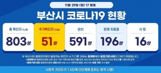 부산 확진자 수.jpg - 코로나19 카테고리