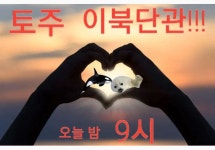 💙헌토라이 새토라이 함께 해요 이북단관💙 - BL 카테고리 &#x1f499;헌토라이 새토라이 함께 해요 이북단관&#x1f499; - BL 카테고리