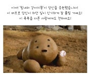 ㅇㄴ ㅋㅋㅋㅋㅋㅋㅋ 이 사진 ㄹㅇ 강아지똥 같은데 - 국내야구 카테고리