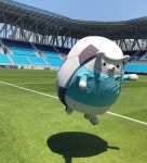 태욱이 왔다 - 국내축구 카테고리