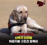 전체 게시판 - 헐 내일 문특에 토백이 나오네!!!!