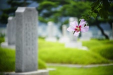2020 무궁화 문화작품 공모전 상금 990만원 - 스퀘어 카테고리