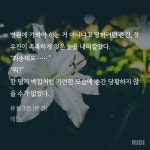 퓨어릴리수국공 - BL 카테고리