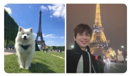 존똑이야 - 강다니엘 카테고리