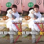 어바웃펫 하울링캠프 우진이 착장 보니까 이 때 생각난다 - 박우진 카테고리