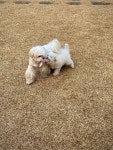 잘잣어용🐶 - 동식물 카테고리 잘잣어용&#x1f436; - 동식물 카테고리