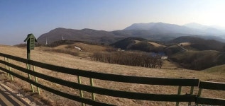 도일님 양세기 영상 봤냐ㅋㅋㅋㅋㅋ 대관령 양떼목장 나옴ㅋㅋㅋㅋㅋ - 성우 카테고리