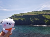 전체 게시판 - 알제이농장 ) 제희와 함께한 제주
