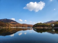 전체 게시판 - 파주 마장호수 갔다왔옹