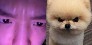 백현이 몽몽이 🐶 - 백현 카테고리 백현이 몽몽이 &#x1f436; - 백현 카테고리