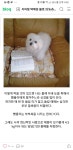 런투유지하철택배 | 전체 게시판 - 지하철 택배원의 어느 41년기록 블로그