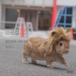 으르렁 으르렁 으르렁대😶 - BL 카테고리 으르렁 으르렁 으르렁대😶 - BL 카테고리