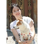 용이랑 용키랑 - 솔라 카테고리