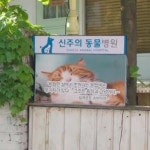 신주 병원 ㅈㄴ 귀여웤ㅋㅋㅋㅋ - 드영배 카테고리