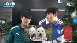 현묵이랑 주찬이 시골똥강쥐 조합 너무 무해하고 귀엽다 ㅋㅋㅋㅋ - 국내축구 카테고리