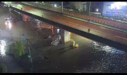 전체 게시판 - 부산 사상구청앞도ㅠㅠㅠ