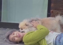 이쯤되면 동물들 일단 지민 만나면 좋아하는 듯 - 케이돌토크 카테고리