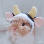 음모오~ 음모오오~ - BL 카테고리