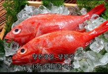 - 씨앗이야기 - 완전판(스압) - KinKi Kids(킨키키즈) 카테고리