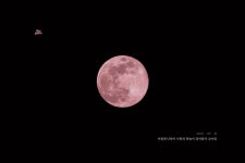 ㅇㅎㅊ 날씨흐려서 나도 핑크문 못 봤지만 뜨긴 했었어.... - 해외축구 카테고리