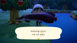 와 강에서 이런 물고기 처음잡아봐 - 동물의숲 카테고리
