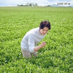 애옹이 모해 - 세훈 카테고리