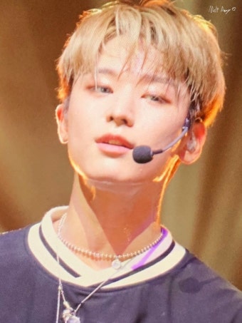 브이앱에서 서머소닉 얘기 나와서 보는데 - 주연 카테고리