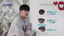 더쿠 - 결국은 대휘가 수달이라는...