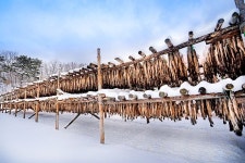 더쿠 - K리그 추춘제 실시 시 겨울 직관 요약.jpg