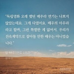 이번주 비소식 있더라 장마인가봐... 장마... 비... rain... - 장르소설 카테고리