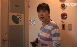 동물농장 강아지 사연 특 - 스퀘어 카테고리